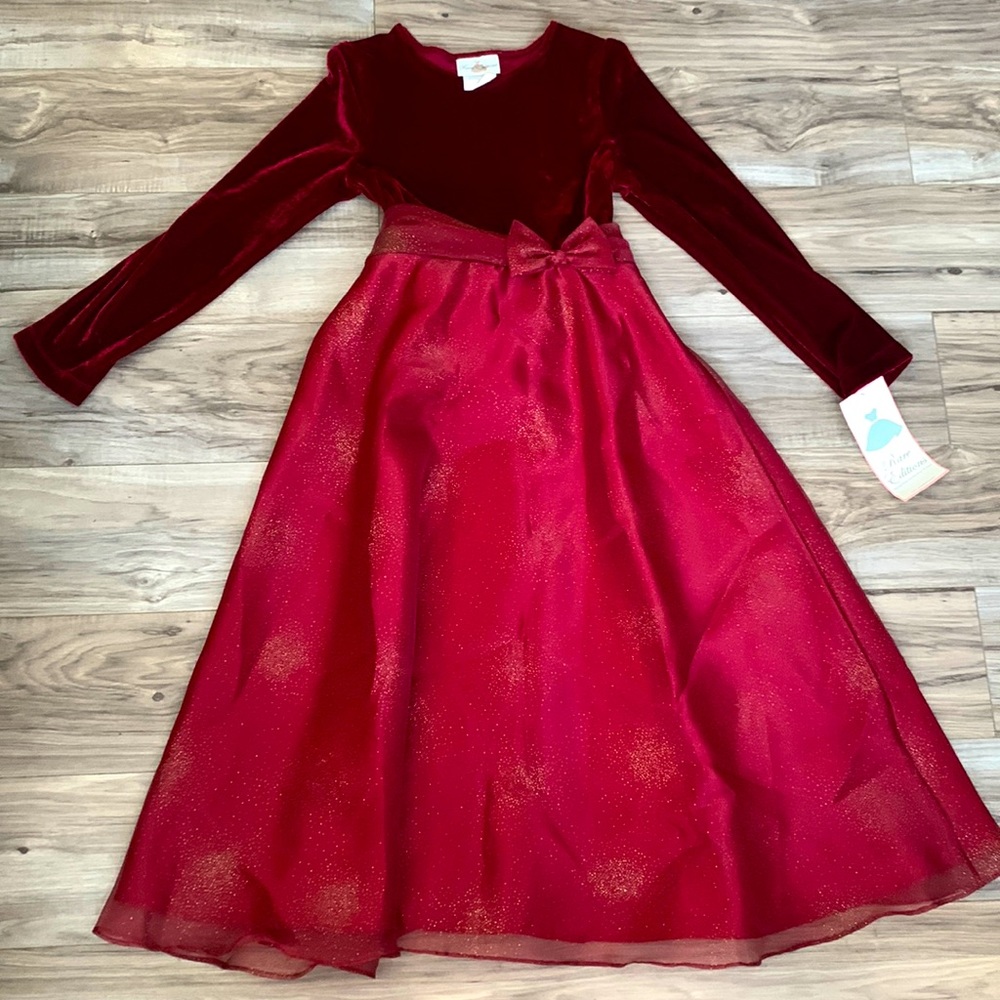 Rare Editions Dress! Size 12 in Girls!🌷
